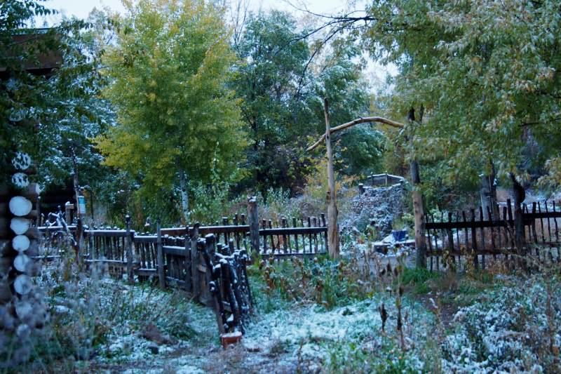 Taos Goji Farm & Eco-Lodge Retreat Arroyo Seco Luaran gambar