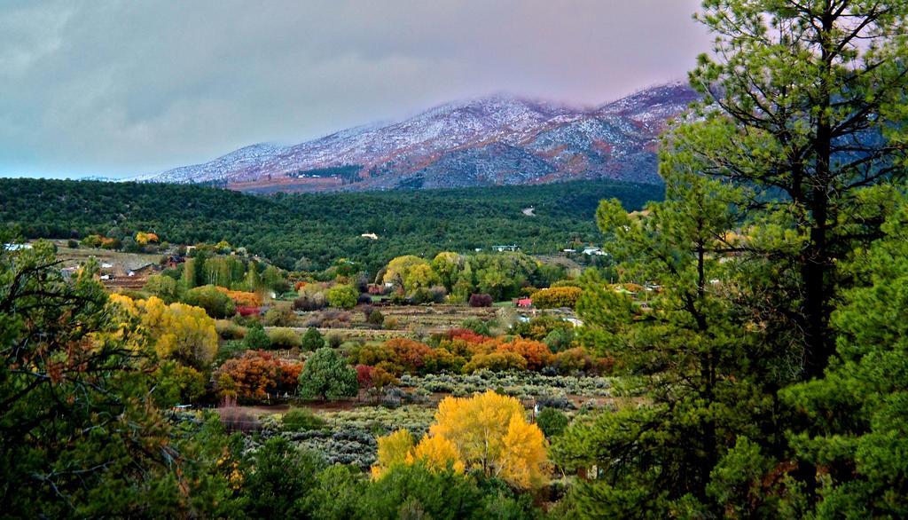 Taos Goji Farm & Eco-Lodge Retreat Arroyo Seco Luaran gambar